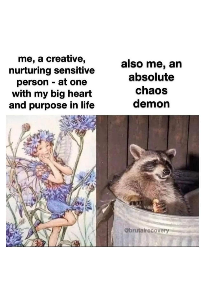 me, a creative, nurturing sensitive person - at one with my big heart also me, an absolute chaos and purpose in life demon @brutalrecovery