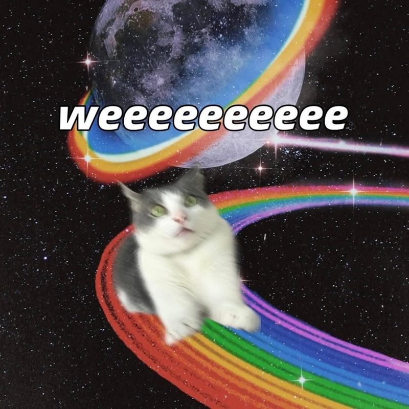 weeeeeeeeee