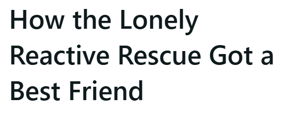 How the Lonely Reactive Rescue Got a Best Friend