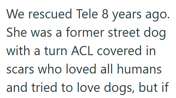 We rescued Tele 8 years ago. She was a former street dog with a turn ACL covered in scars who loved all humans and tried to love dogs, but if