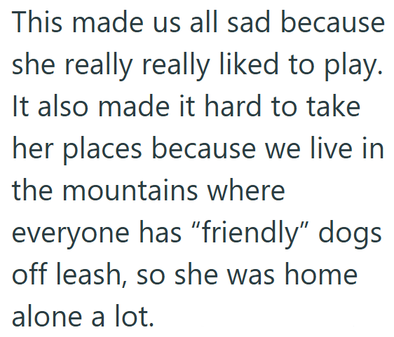 This made us all sad because she really really liked to play. It also made it hard to take her places because we live in the mountains where everyone has "friendly" dogs off leash, so she was home alone a lot.