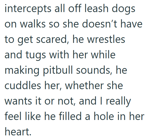intercepts all off leash dogs on walks so she doesn't have to get scared, he wrestles and tugs with her while making pitbull sounds, he cuddles her, whether she wants it or not, and I really feel like he filled a hole in her heart.