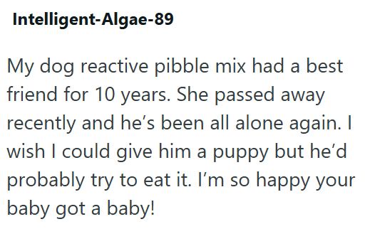 Intelligent-Algae-89 My dog reactive pibble mix had a best friend for 10 years. She passed away recently and he's been all alone again. I wish I could give him a puppy but he'd probably try to eat it. I'm so happy your baby got a baby!