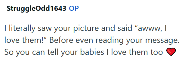 StruggleOdd1643 OP I literally saw your picture and said "awww, I love them!" Before even reading your message. So you can tell your babies I love them too