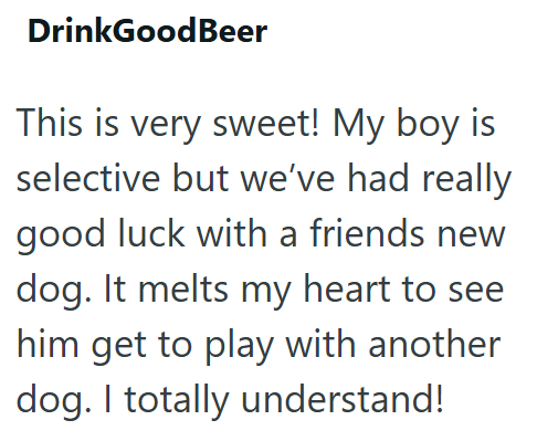 DrinkGoodBeer This is very sweet! My boy is selective but we've had really good luck with a friends new dog. It melts my heart to see him get to play with another dog. I totally understand!