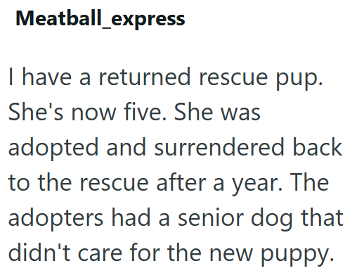 Meatball_express I have a returned rescue pup. She's now five. She was adopted and surrendered back to the rescue after a year. The adopters had a senior dog that didn't care for the new puppy.