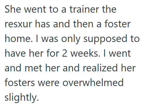 She went to a trainer the resxur has and then a foster home. I was only supposed to have her for 2 weeks. I went and met her and realized her fosters were overwhelmed slightly.