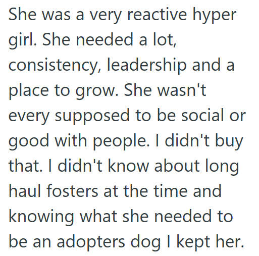 She was a very reactive hyper girl. She needed a lot, consistency, leadership and a place to grow. She wasn't every supposed to be social or good with people. I didn't buy that. I didn't know about long haul fosters at the time and knowing what she needed to be an adopters dog I kept her.