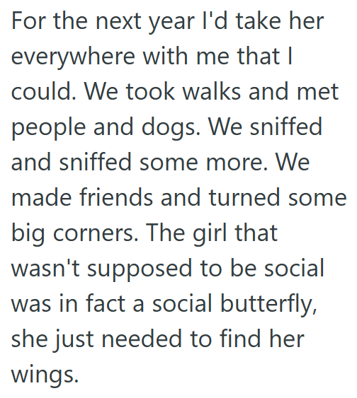 For the next year I'd take her everywhere with me that I could. We took walks and met people and dogs. We sniffed and sniffed some more. We made friends and turned some big corners. The girl that wasn't supposed to be social was in fact a social butterfly, she just needed to find her wings.