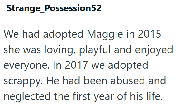 Strange_Possession52 We had adopted Maggie in 2015 she was loving, playful and enjoyed everyone. In 2017 we adopted scrappy. He had been abused and neglected the first year of his life.