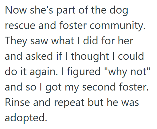 Now she's part of the dog rescue and foster community. They saw what I did for her and asked if I thought I could do it again. I figured "why not" and so I got my second foster. Rinse and repeat but he was adopted.