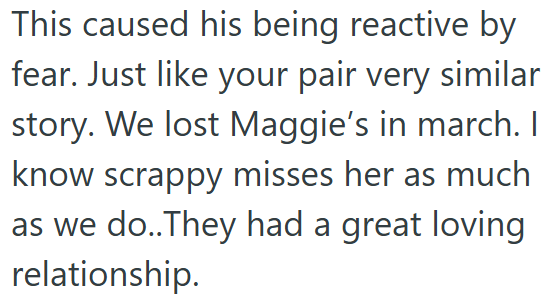 This caused his being reactive by fear. Just like your pair very similar story. We lost Maggie's in march. I know scrappy misses her as much as we do..They had a great loving relationship.
