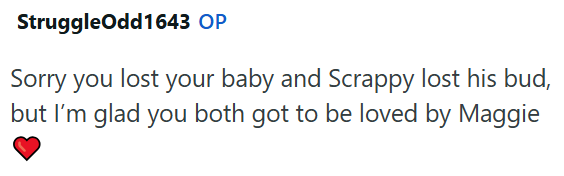 StruggleOdd1643 OP Sorry you lost your baby and Scrappy lost his bud, but I'm glad you both got to be loved by Maggie