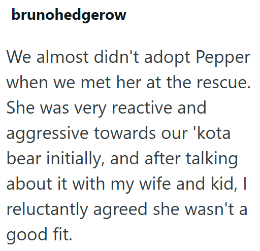 brunohedgerow We almost didn't adopt Pepper when we met her at the rescue. She was very reactive and aggressive towards our 'kota bear initially, and after talking about it with my wife and kid, I reluctantly agreed she wasn't a good fit.
