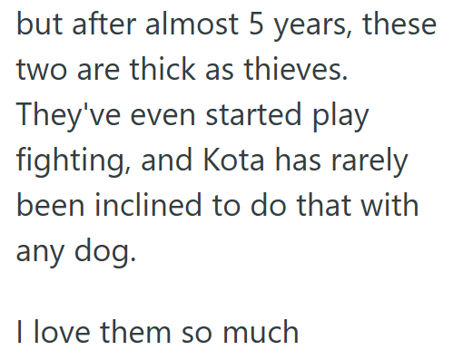 but after almost 5 years, these two are thick as thieves. They've even started play fighting, and Kota has rarely been inclined to do that with any dog. I love them so much