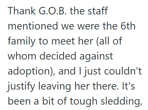 Thank G.O.B. the staff mentioned we were the 6th family to meet her (all of whom decided against adoption), and I just couldn't justify leaving her there. It's been a bit of tough sledding,