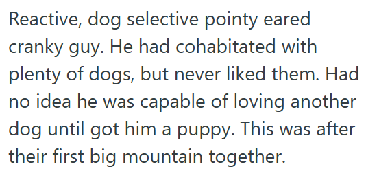 Reactive, dog selective pointy eared cranky guy. He had cohabitated with plenty of dogs, but never liked them. Had no idea he was capable of loving another dog until got him a puppy. This was after their first big mountain together.