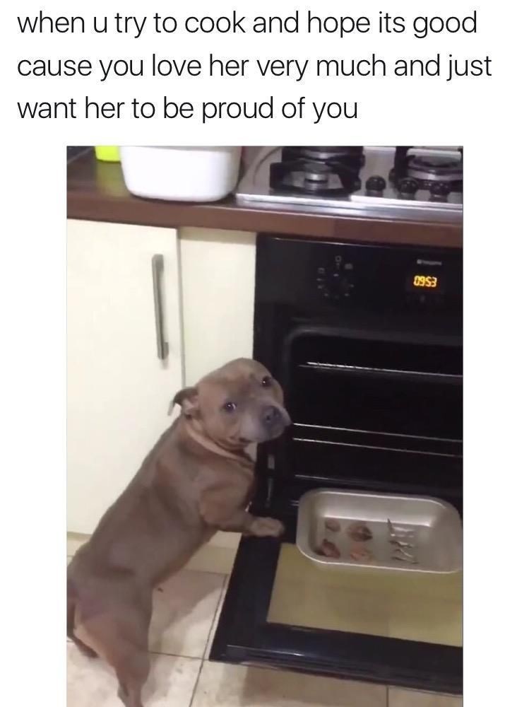 when u try to cook and hope its good cause you love her very much and just want her to be proud of you - 0953