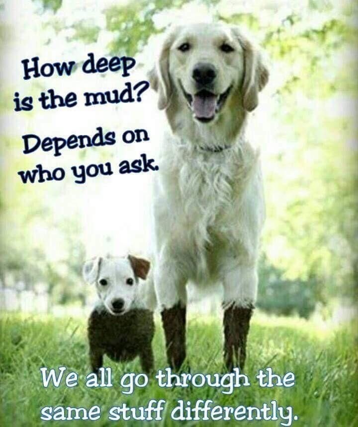 How deep is the mud? Depends on who you ask. We all go through the same stuff differently.