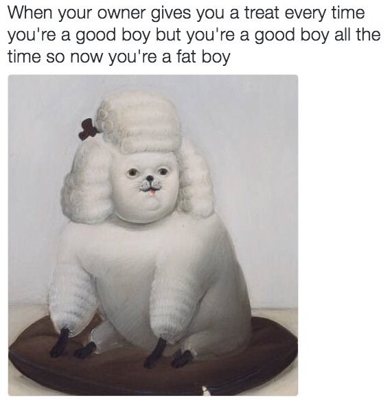 When your owner gives you a treat every time you're a good boy but you're a good boy all the time so now you're a fat boy