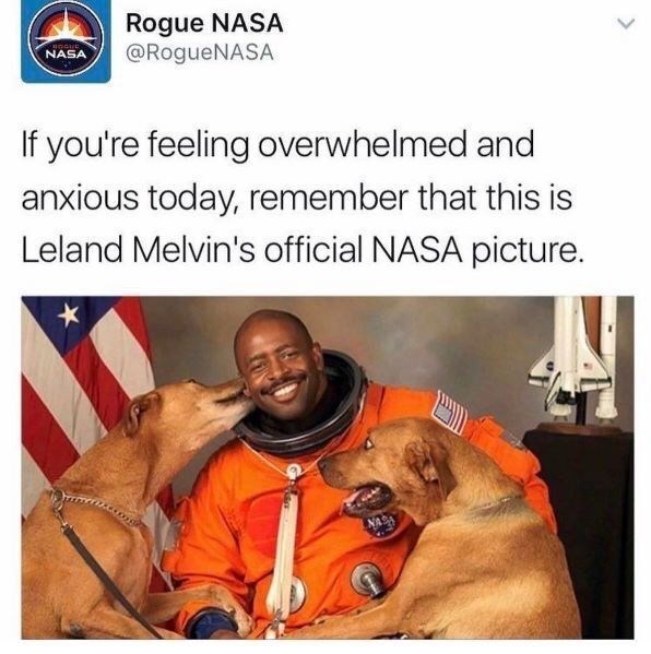 NASA Rogue NASA @RogueNASA If you're feeling overwhelmed and anxious today, remember that this is Leland Melvin's official NASA picture. *