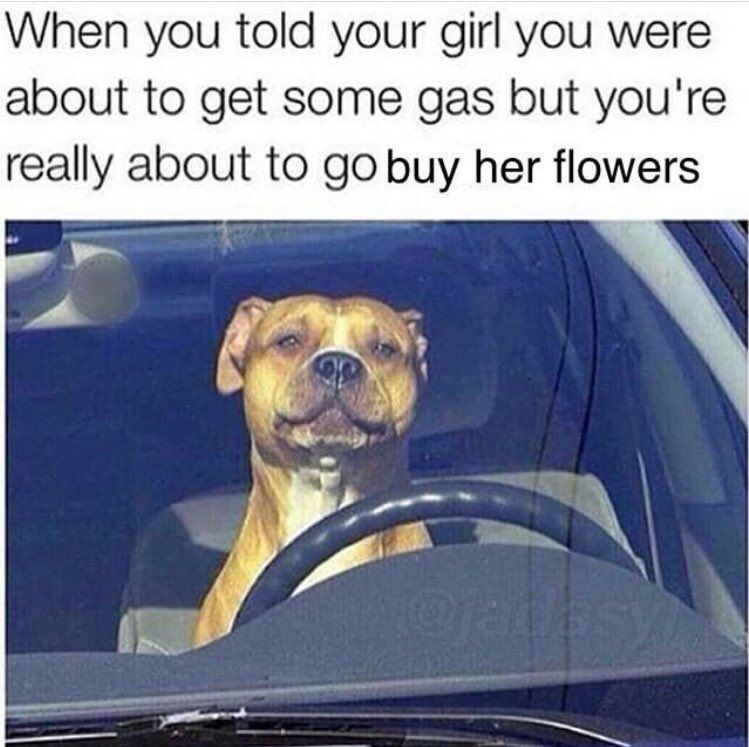 When you told your girl you were about to get some gas but you're really about to go buy her flowers @jadasy