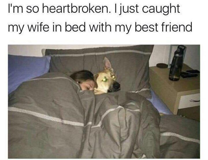 I'm so heartbroken. I just caught my wife in bed with my best friend