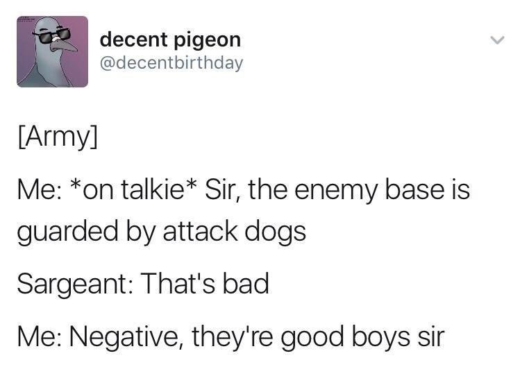 decent pigeon @decentbirthday [Army] Me: *on talkie✶ Sir, the enemy base is guarded by attack dogs Sargeant: That's bad Me: Negative, they're good boys sir