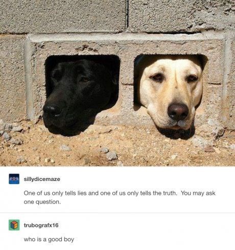 sillydicemaze One of us only tells lies and one of us only tells the truth. You may ask one question. trubografx 16 who is a good boy