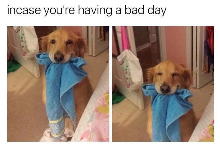 incase you're having a bad day
