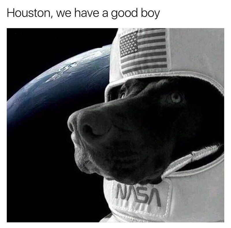 Houston, we have a good boy NASA