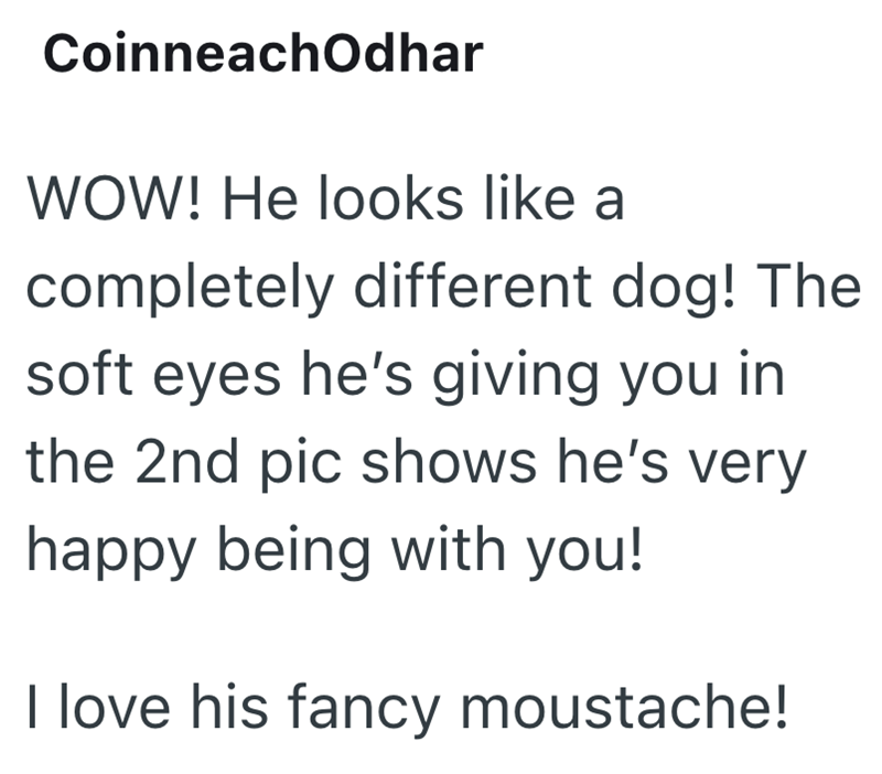 CoinneachOdhar WOW! He looks like a completely different dog! The soft eyes he's giving you in the 2nd pic shows he's very happy being with you! I love his fancy moustache!