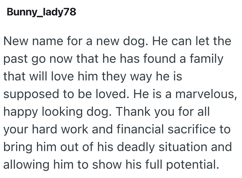 Bunny_lady78 New name for a new dog. He can let the past go now that he has found a family that will love him they way he is supposed to be loved. He is a marvelous, happy looking dog. Thank you for all your hard work and financial sacrifice to bring him out of his deadly situation and allowing him to show his full potential.
