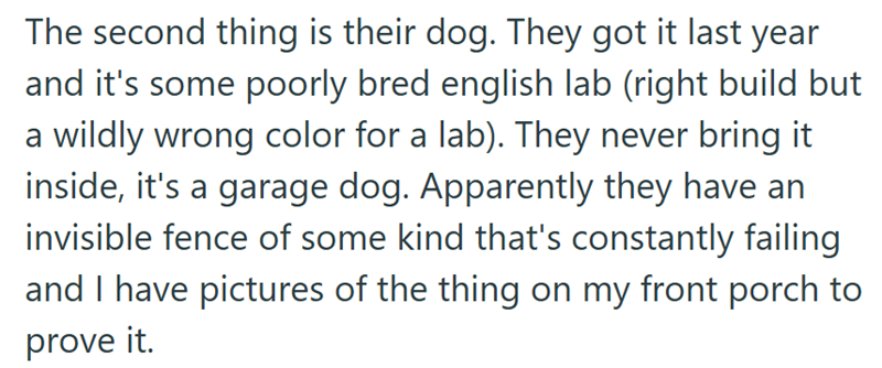 The second thing is their dog. They got it last year and it's some poorly bred english lab (right build but a wildly wrong color for a lab). They never bring it inside, it's a garage dog. Apparently they have an invisible fence of some kind that's constantly failing and I have pictures of the thing on my front porch to prove it.