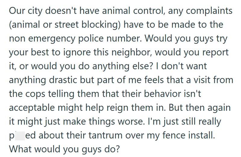 Our city doesn't have animal control, any complaints (animal or street blocking) have to be made to the non emergency police number. Would you guys try your best to ignore this neighbor, would you report it, or would you do anything else? I don't want anything drastic but part of me feels that a visit from the cops telling them that their behavior isn't acceptable might help reign them in. But then again it might just make things worse. I'm just still really ped about their tantrum over my fence