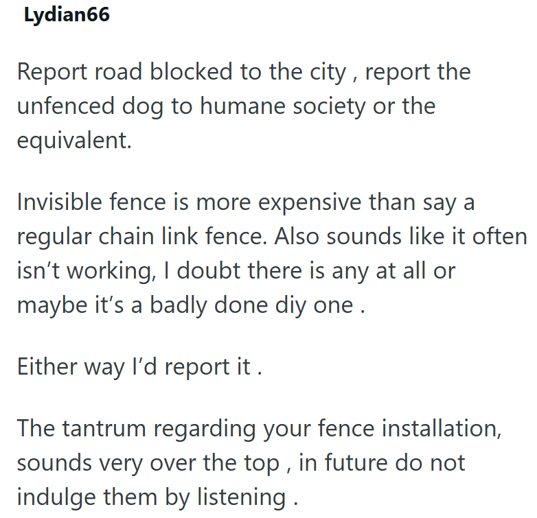 Lydian66 Report road blocked to the city, report the unfenced dog to humane society or the equivalent. Invisible fence is more expensive than say a regular chain link fence. Also sounds like it often isn't working, I doubt there is any at all or maybe it's a badly done diy one . Either way I'd report it. The tantrum regarding your fence installation, sounds very over the top, in future do not indulge them by listening.