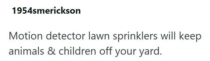 1954smerickson Motion detector lawn sprinklers will keep animals & children off your yard.