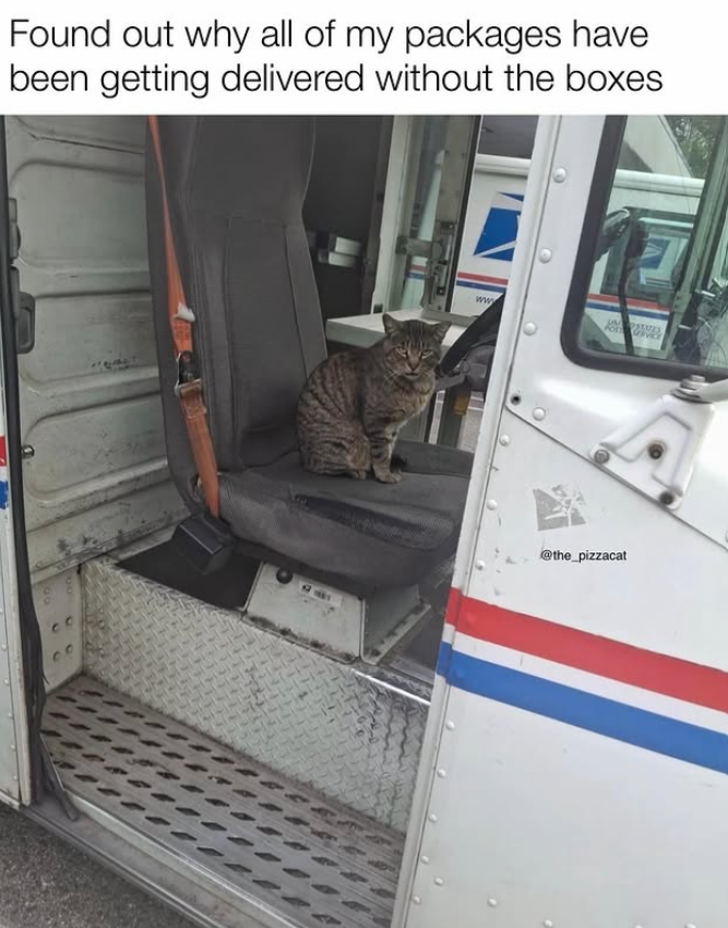 Found out why all of my packages have been getting delivered without the boxes 60 ww @the_pizzacat