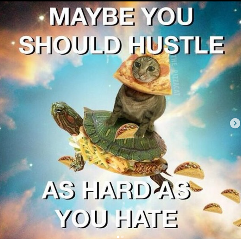 MAYBE YOU SHOULD HUSTLE THE PIZZACAT AS HARD AS YOU HATE >