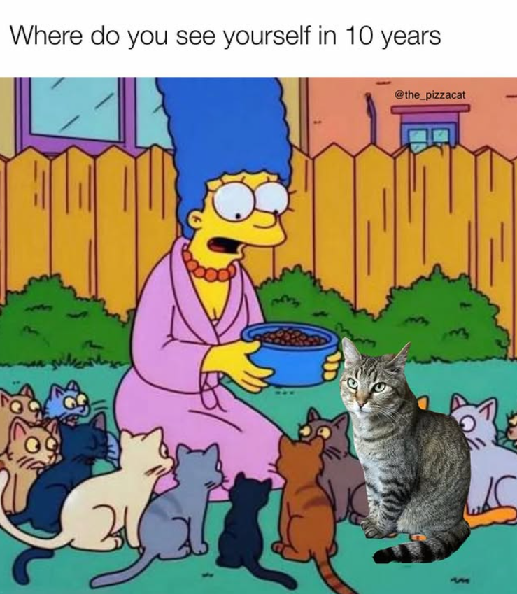 Where do you see yourself in 10 years 34 @the_pizzacat 33