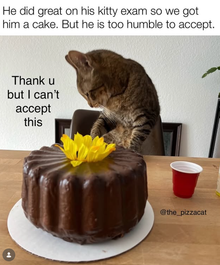 He did great on his kitty exam so we got him a cake. But he is too humble to accept. Thank u but I can't accept this @the_pizzacat