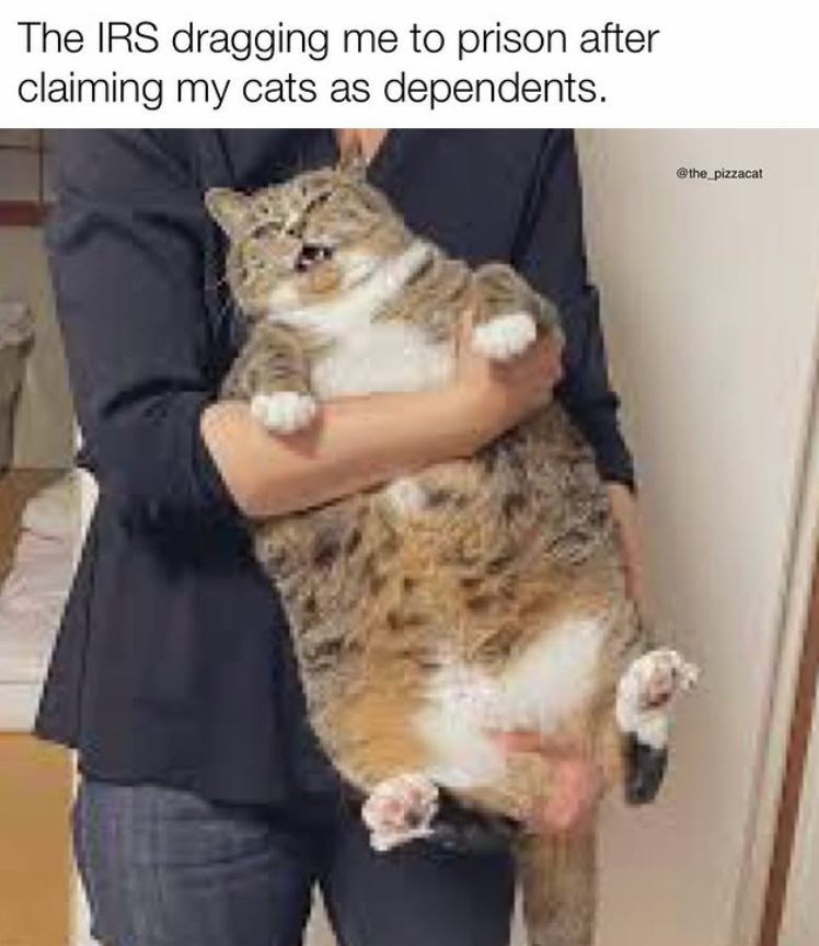 The IRS dragging me to prison after claiming my cats as dependents. @the_pizzacat