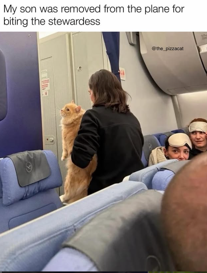 My son was removed from the plane for biting the stewardess @the_pizzacat