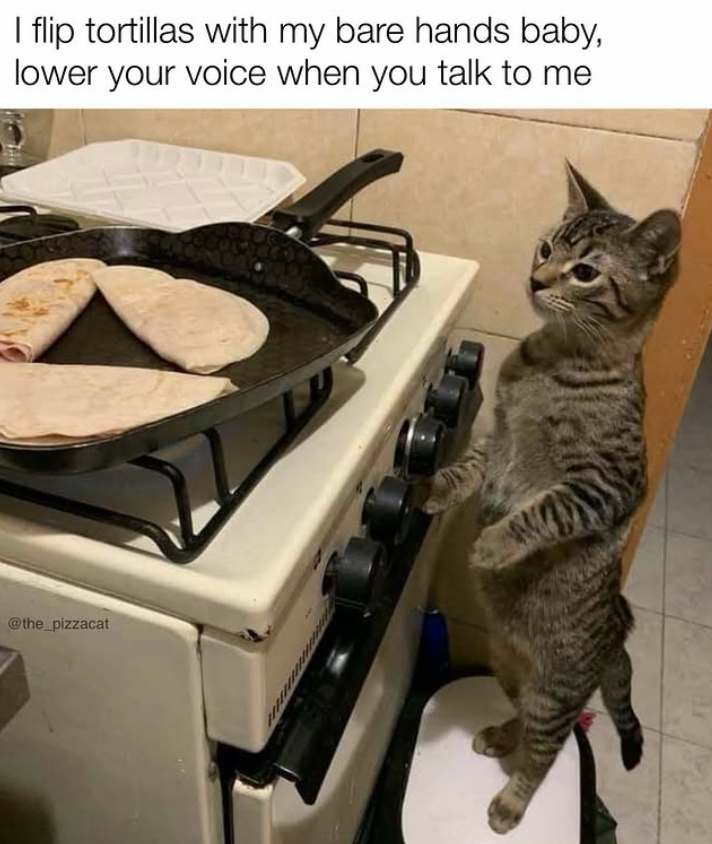 I flip tortillas with my bare hands baby, lower your voice when you talk to me @the_pizzacat