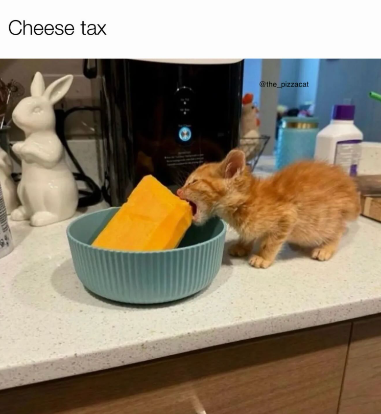 Cheese tax @the_pizzacat