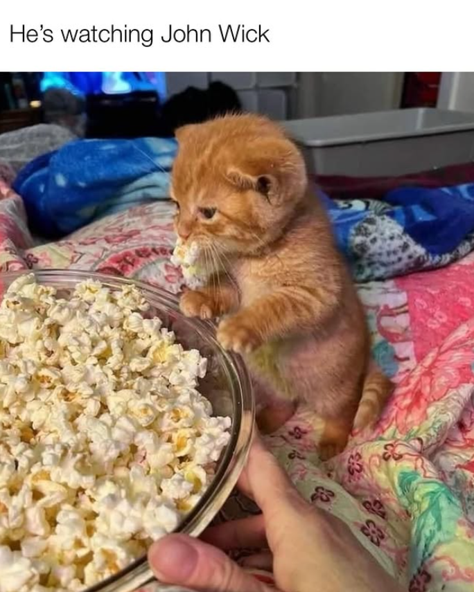 He's watching John Wick