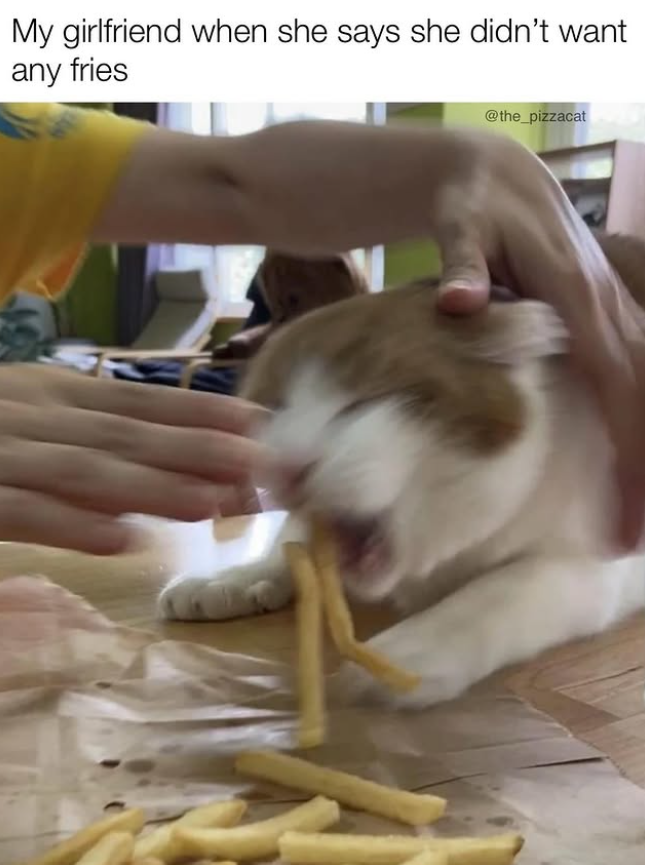 My girlfriend when she says she didn't want any fries V @the_pizzacat