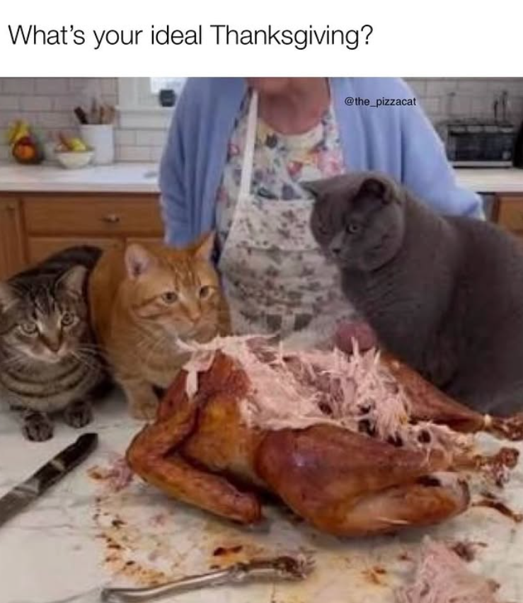 What's your ideal Thanksgiving? @the_pizzacat