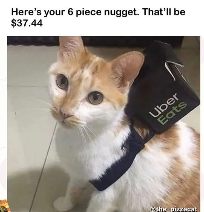 Here's your 6 piece nugget. That'll be $37.44 Uber Eats @the pizzacat