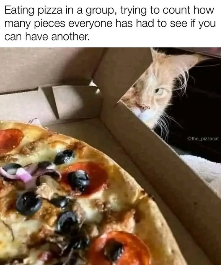 Eating pizza in a group, trying to count how many pieces everyone has had to see if you I can have another. @the_pizzacat